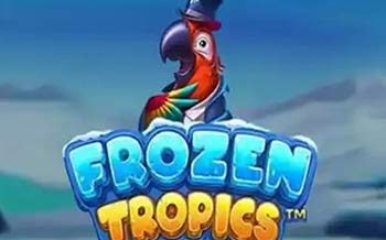 Frozen Tropics