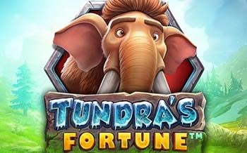 Tundra’s Fortune